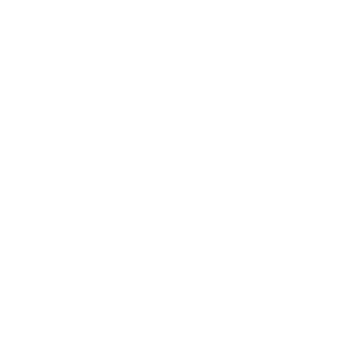LP-WEBINAR-ICON